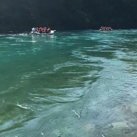 Tara Resort *
