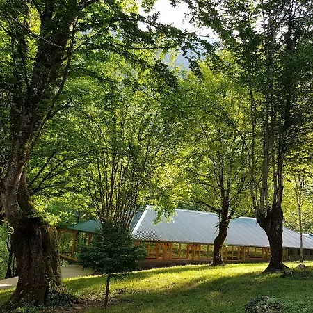 Resort Tara Bastasi